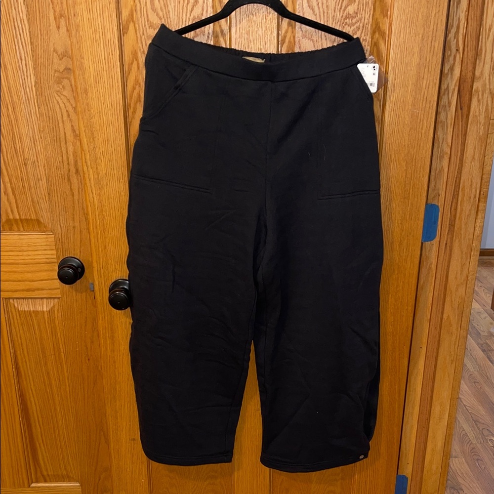 Free people pants